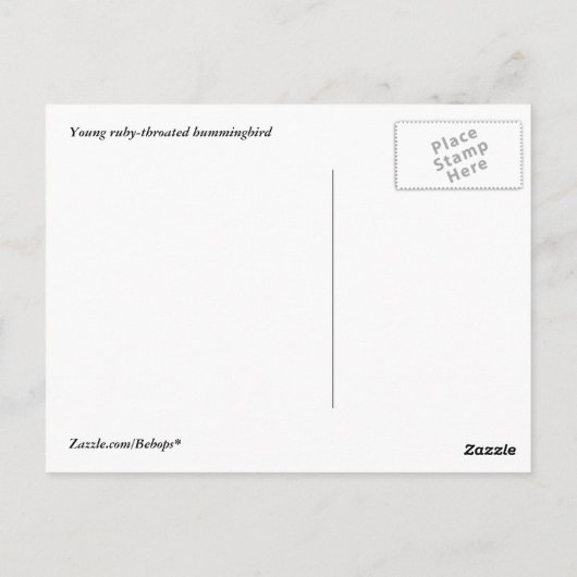 Hummingvogel Postkarte (Rückseite)