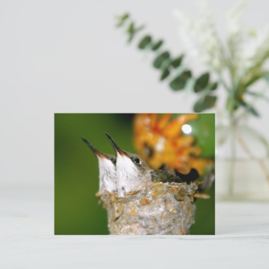 Hummingvögel Postkarte (Stehend Vorderseite)