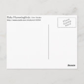 Hummingvögel Postkarte (Rückseite)