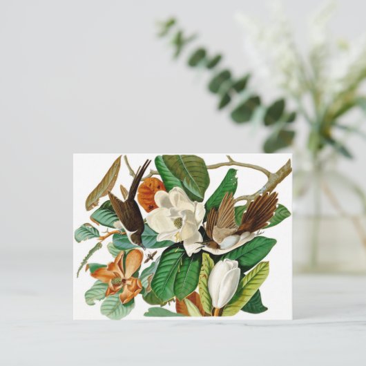 Hummingvögel Postkarte (Stehend Vorderseite)