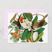 Hummingvögel Postkarte (Vorne/Hinten)