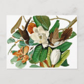 Hummingvögel Postkarte (Vorderseite)