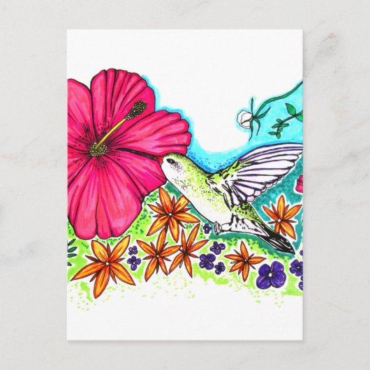 Hummingvogel Postkarte (Vorderseite)