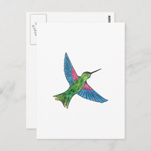 Hummingvogel Postkarte (Vorne/Hinten)