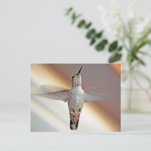 Hummingvogel Postkarte (Stehend Vorderseite)