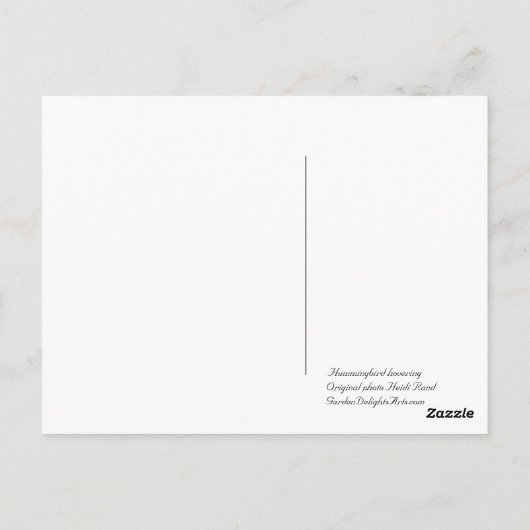 Hummingvogel Postkarte (Rückseite)