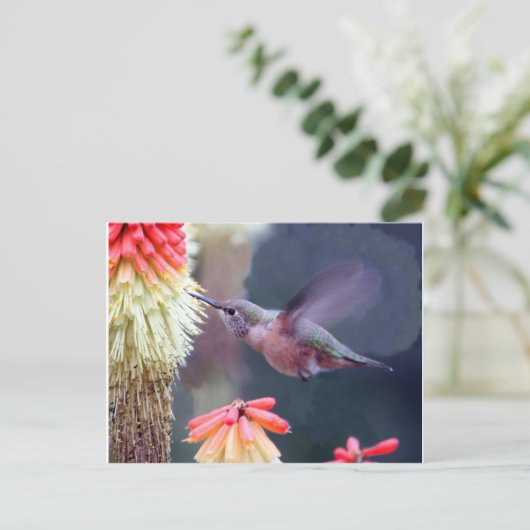 Hummingvogel Postkarte (Stehend Vorderseite)