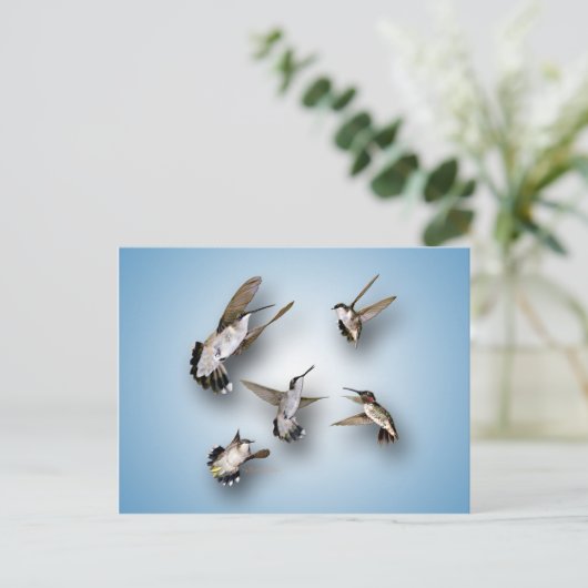 Hummingvögel Postkarte (Stehend Vorderseite)