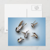 Hummingvögel Postkarte (Vorne/Hinten)