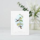 Hummingvogel Postkarte (Stehend Vorderseite)