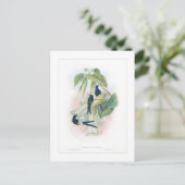 Hummingvogel Postkarte (Stehend Vorderseite)