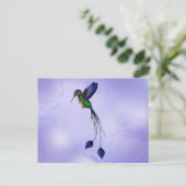 Hummingvogel Postkarte (Stehend Vorderseite)