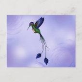 Hummingvogel Postkarte (Vorderseite)