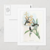 Hummingvogel Postkarte (Vorne/Hinten)