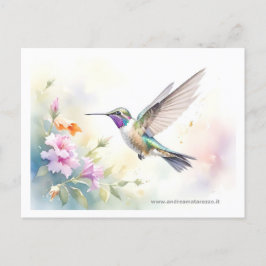 Hummingvogel Postkarte
