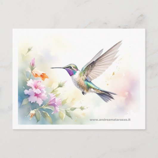 Hummingvogel Postkarte (Vorderseite)