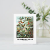 Hummingvögel Postkarte (Stehend Vorderseite)
