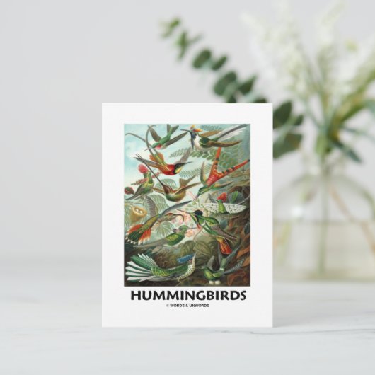 Hummingvögel Postkarte (Stehend Vorderseite)