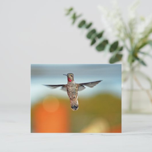 Hummingvogel Postkarte (Stehend Vorderseite)