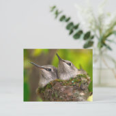 Hummingvögel Postkarte (Stehend Vorderseite)
