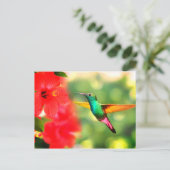 Hummingvogel Postkarte (Stehend Vorderseite)