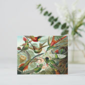 Hummingvögel Postkarte (Stehend Vorderseite)