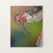 Hummingvogel Puzzle (Vertikal)
