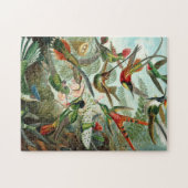 Hummingvögel Puzzle (Horizontal)