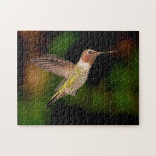 Hummingvogel Puzzle (Horizontal)