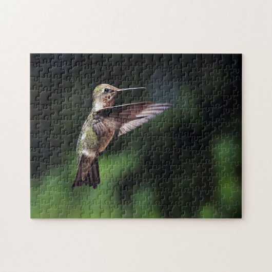 Hummingvogel Puzzle (Horizontal)