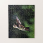 Hummingvogel Puzzle (Vertikal)
