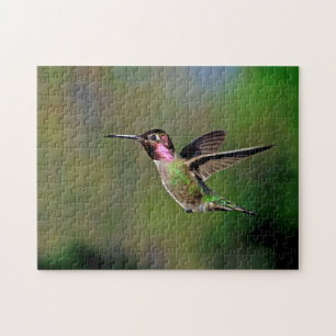 Hummingvogel Puzzle