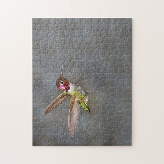 Hummingvogel Puzzle (Vertikal)
