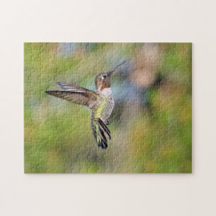 Hummingvogel Puzzle