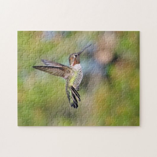 Hummingvogel Puzzle (Horizontal)