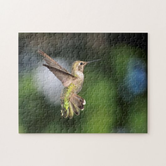 Hummingvogel Puzzle (Horizontal)
