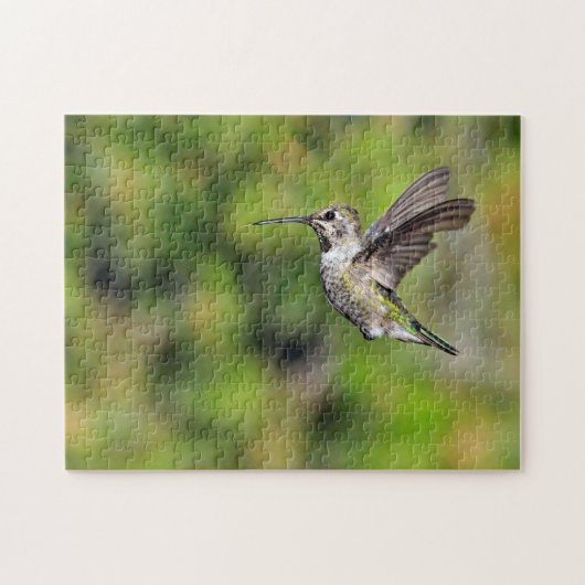 Hummingvogel Puzzle (Horizontal)