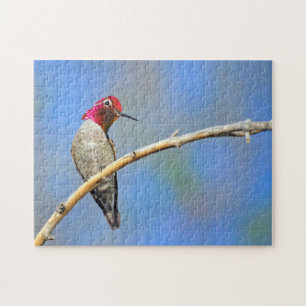 Hummingvogel Puzzle