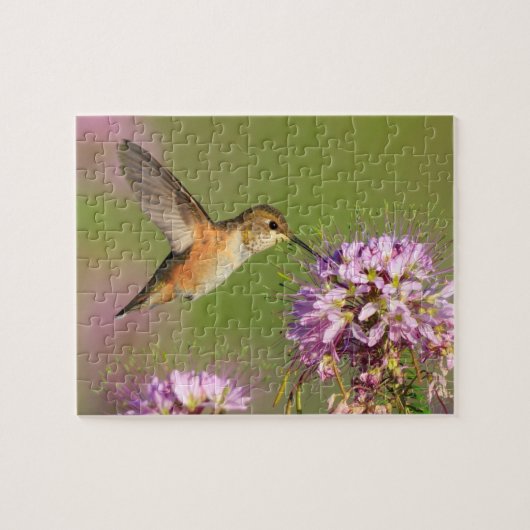 Hummingvogel Puzzle (Horizontal)