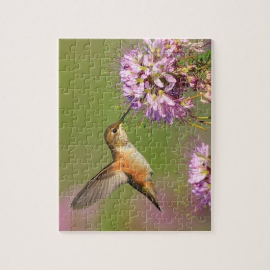 Hummingvogel Puzzle (Vertikal)