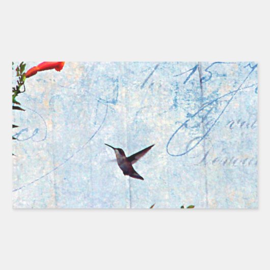Hummingvogel Rechteckiger Aufkleber (Vorderseite)