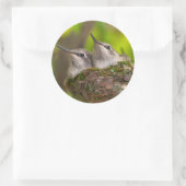 Hummingvögel Runder Aufkleber (Tasche)