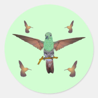 Hummingvogel Runder Aufkleber