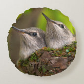 Hummingvögel Rundes Kissen (Vorderseite)