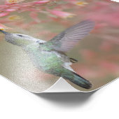 Hummingvogel schlängelt auf Blume Fotodruck (Ecke)