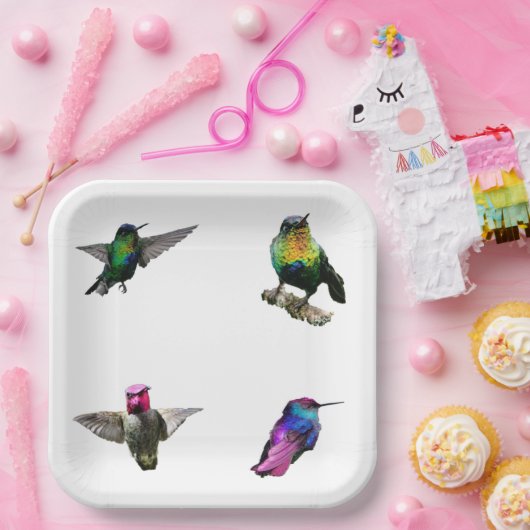 Hummingvögel Schlichter Hintergrund Pappteller (Party)