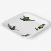 Hummingvögel Schlichter Hintergrund Pappteller (Gewinkelt)