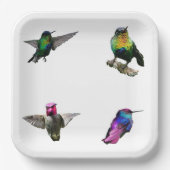 Hummingvögel Schlichter Hintergrund Pappteller (Vorderseite)
