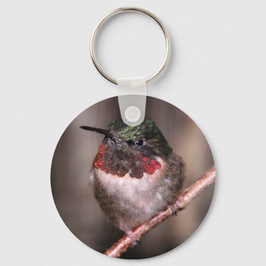 Hummingvogel Schlüsselanhänger (Vorderseite)