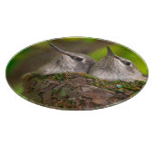 Hummingvögel Schneidebrett (Ecke)